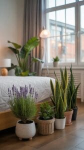 top-bedroom-plants-to-improve-your-sleep-environment-hello-homey