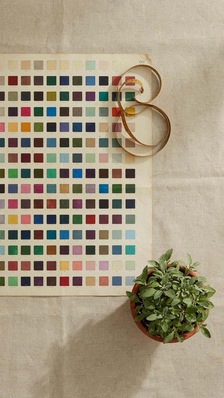 An antique color chart is partially covered by a measuring tape and a small sage plant.