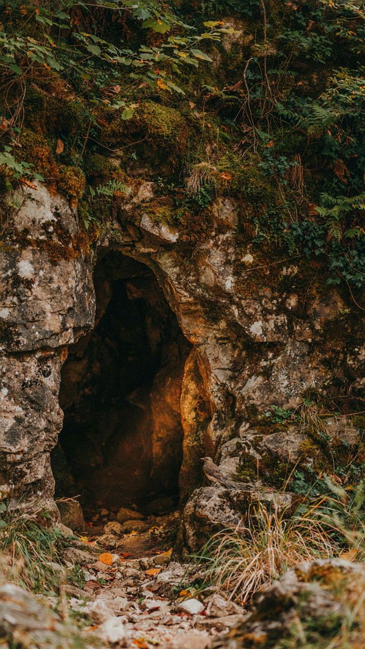 A warm, inviting cave entrance bathed in natural sunlight.
