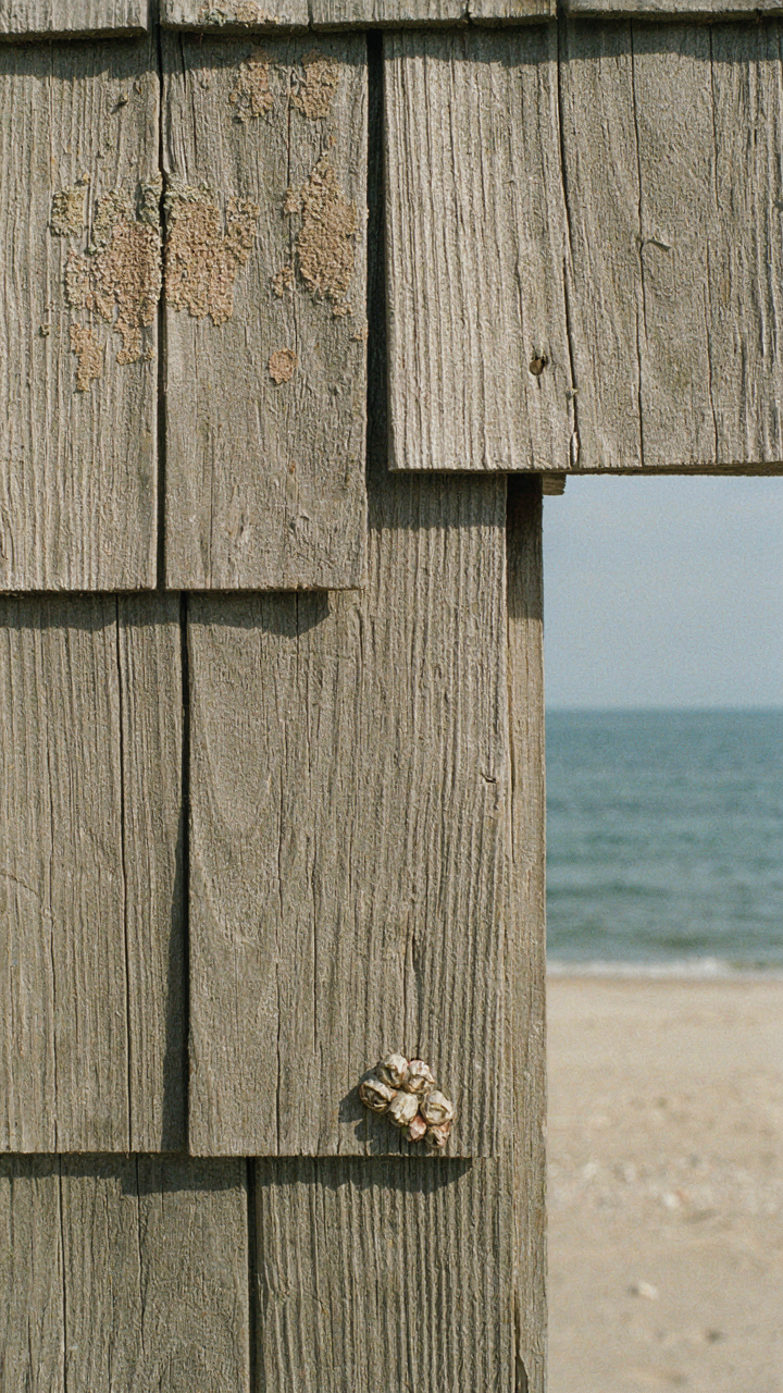 A weathered gray-green shingle next to a sandy beach and ocean.