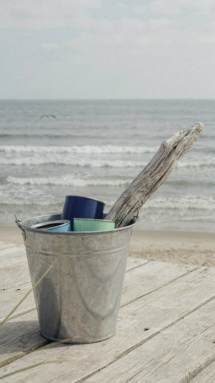 Paint samples in deep blue and pale green next to a piece of weathered driftwood.