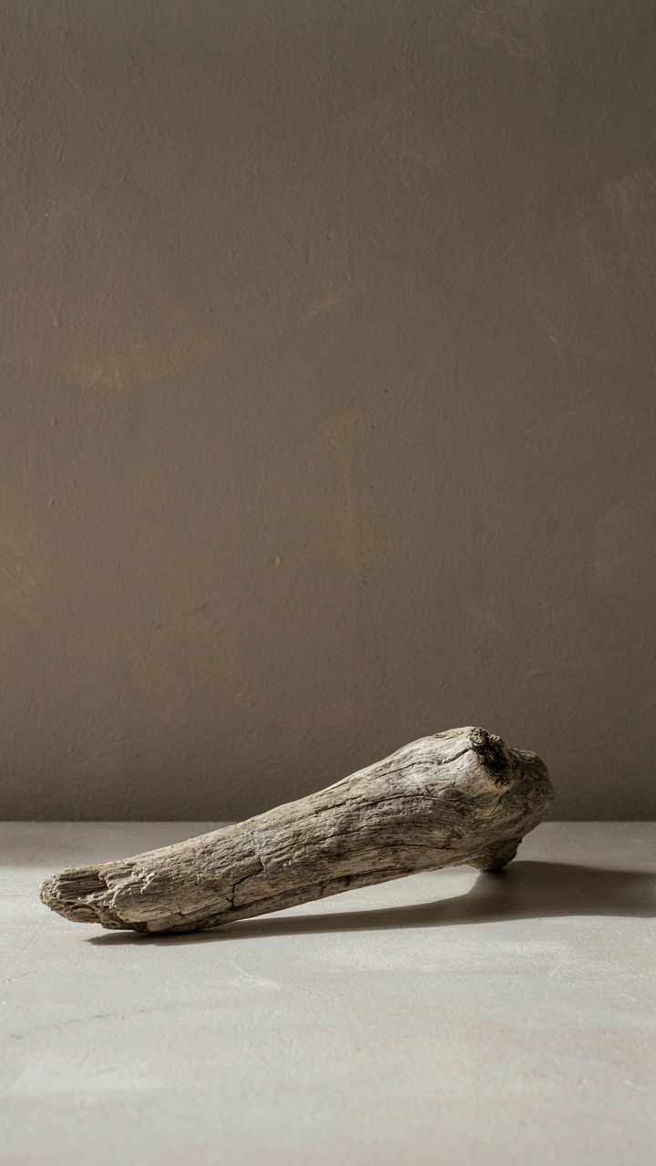 A warm grey wall next to a piece of driftwood, showing muted coastal colors.
