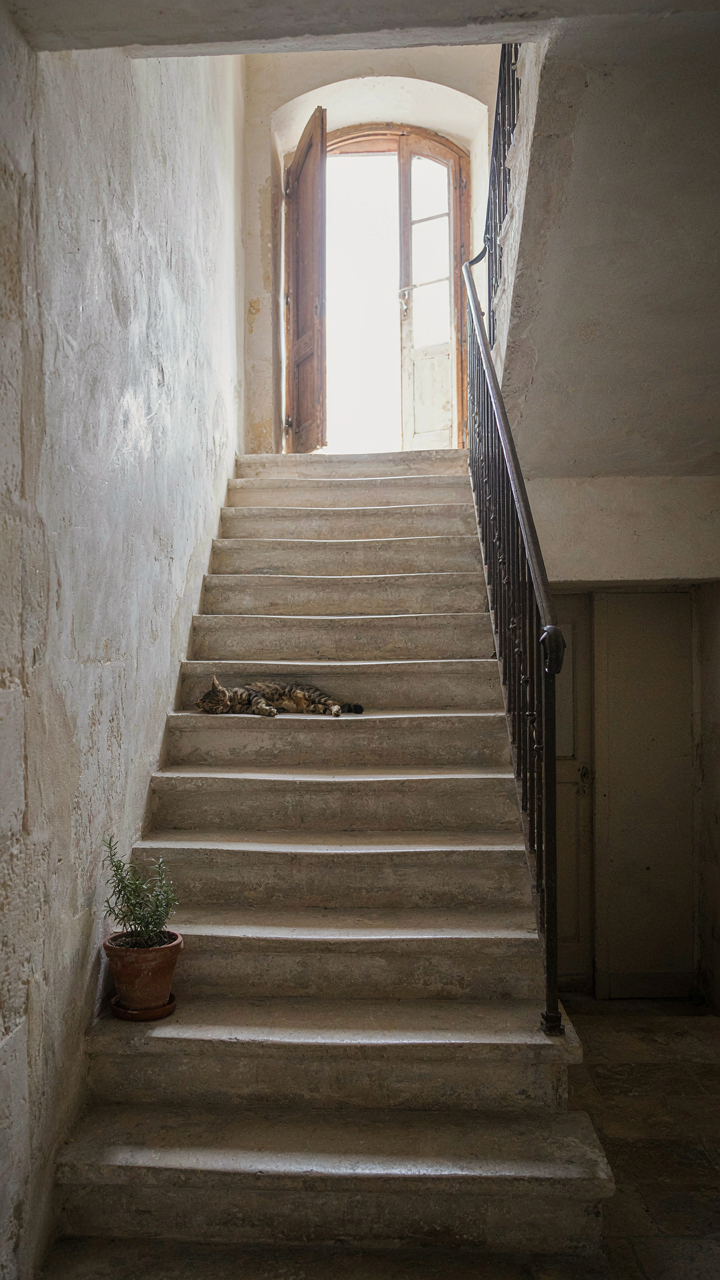 An old stone staircase with a simple iron railing inside a rural French home.