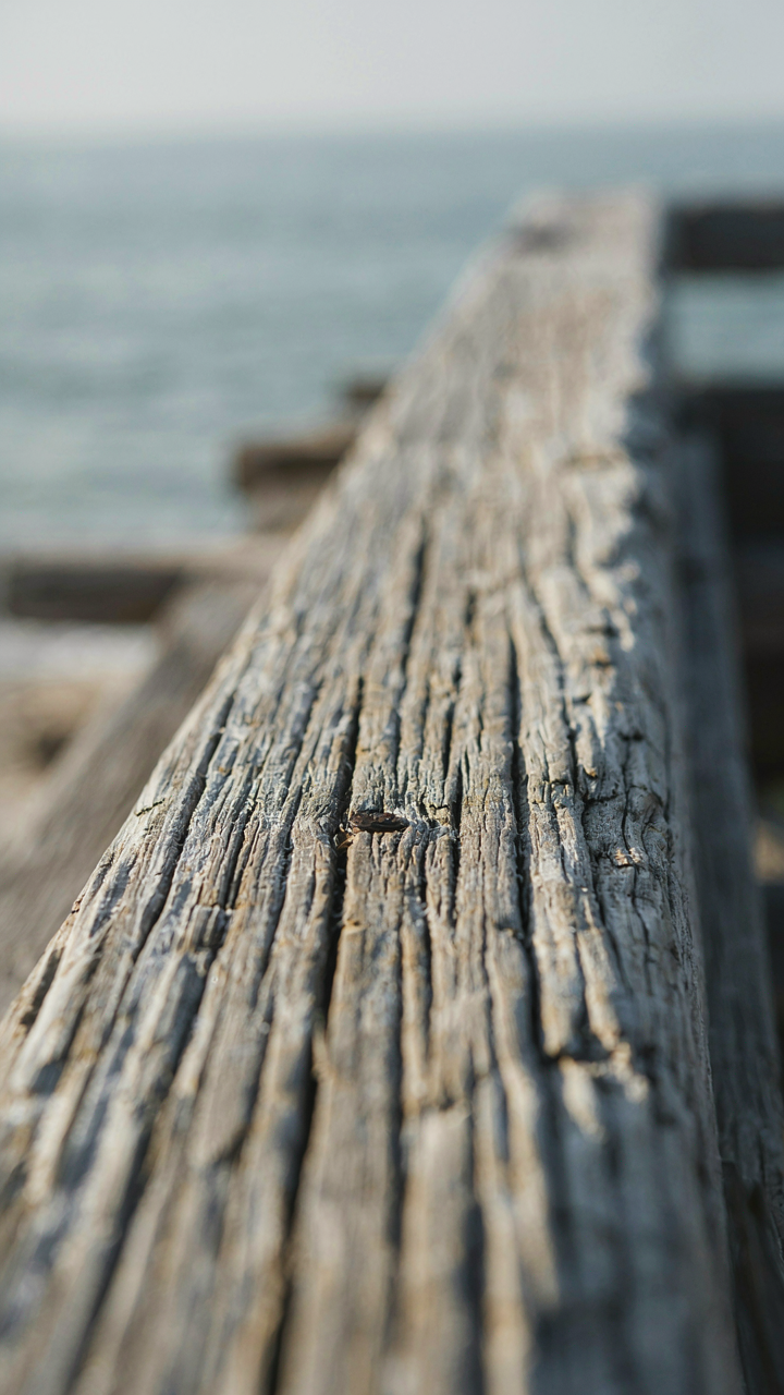 A weathered wood beam shows deep grain and erosion from a coastal environment.
