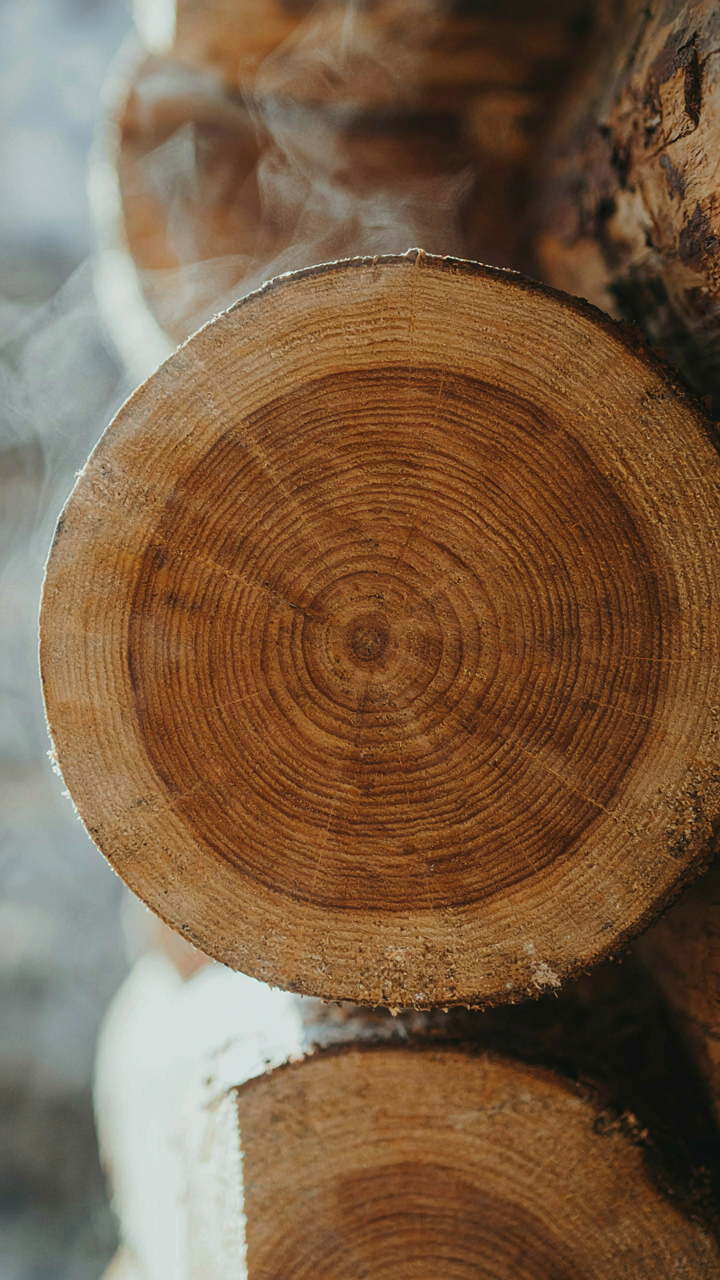 A cross-section of a thick wooden log wall, showing its natural insulation.