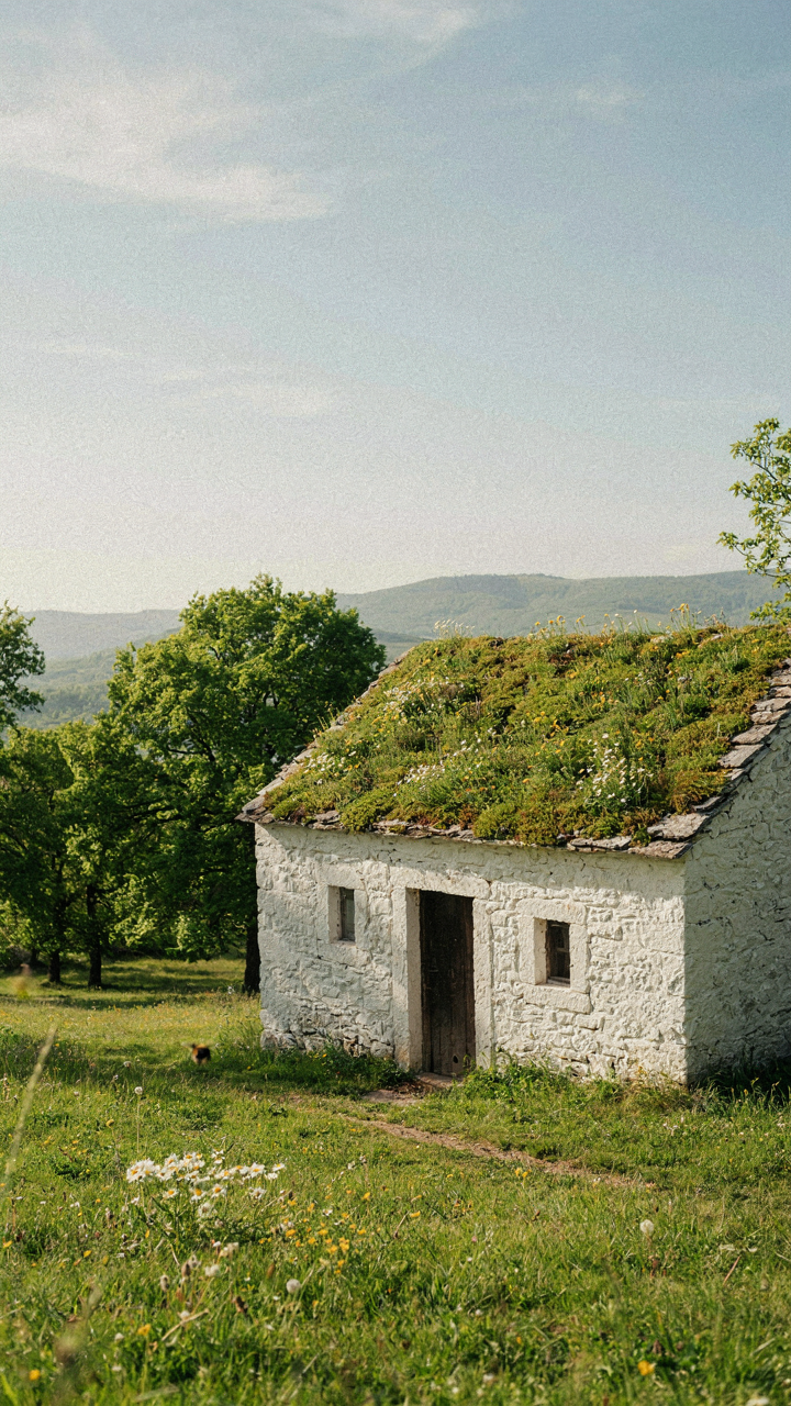 A small cottage features a vibrant green roof planted with sedum and wildflowers.