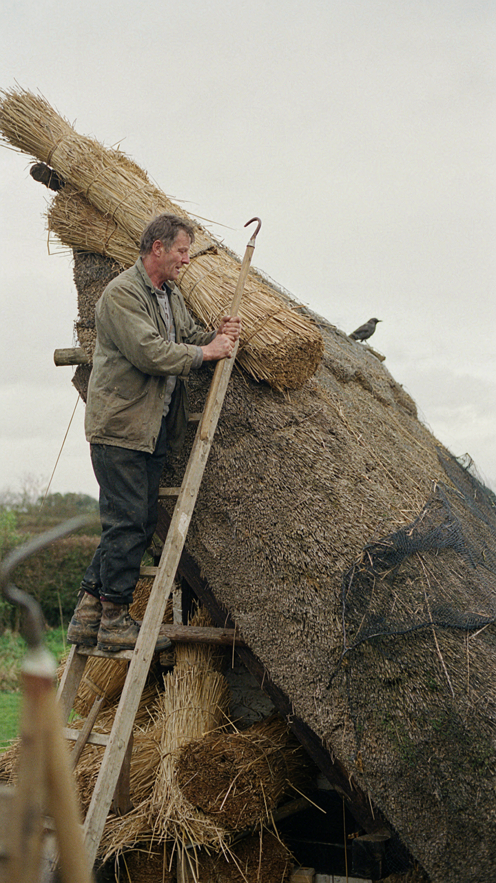 A thatcher inspecting the ridgeline of an old thatched roof.