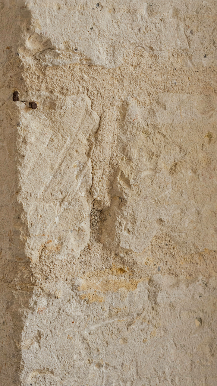 A close-up of an ancient limestone wall in a French chateau bedroom.