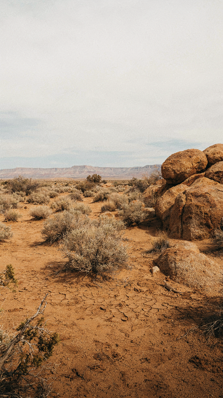 An arid landscape shows sagebrush, ochre rocks, and terracotta soil.