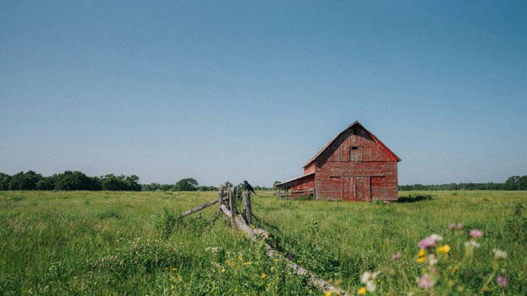 A weathered barn stands in a green field under a clear blue sky.
