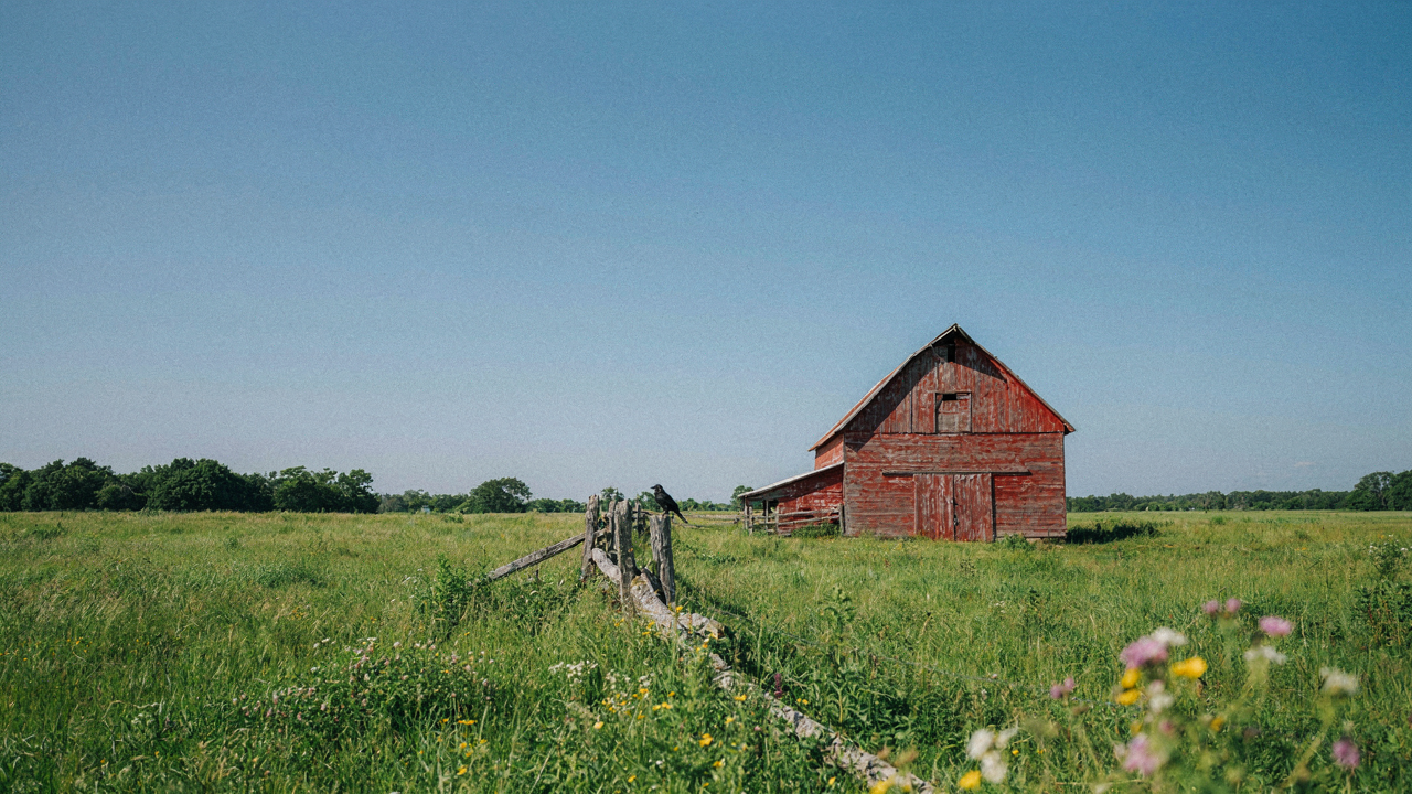 A weathered barn stands in a green field under a clear blue sky.