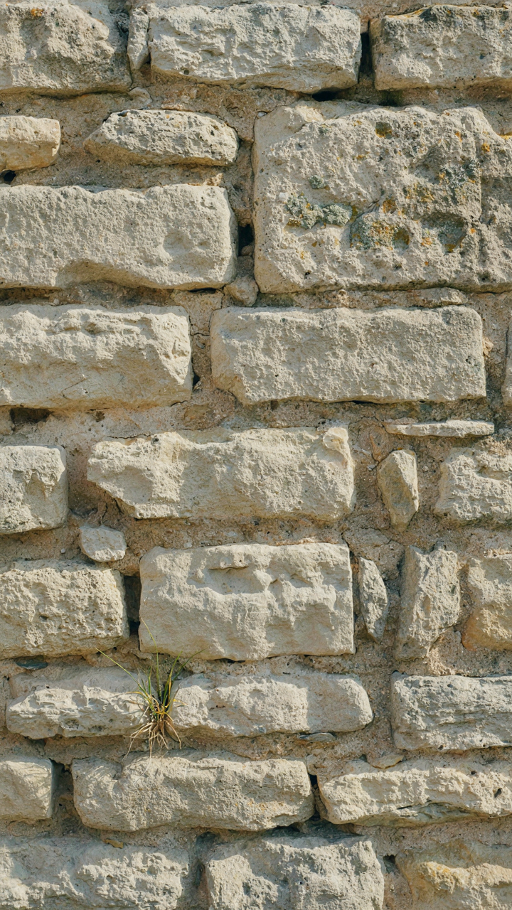 Close-up of an old stone wall with irregular, weathered lime mortar joints.