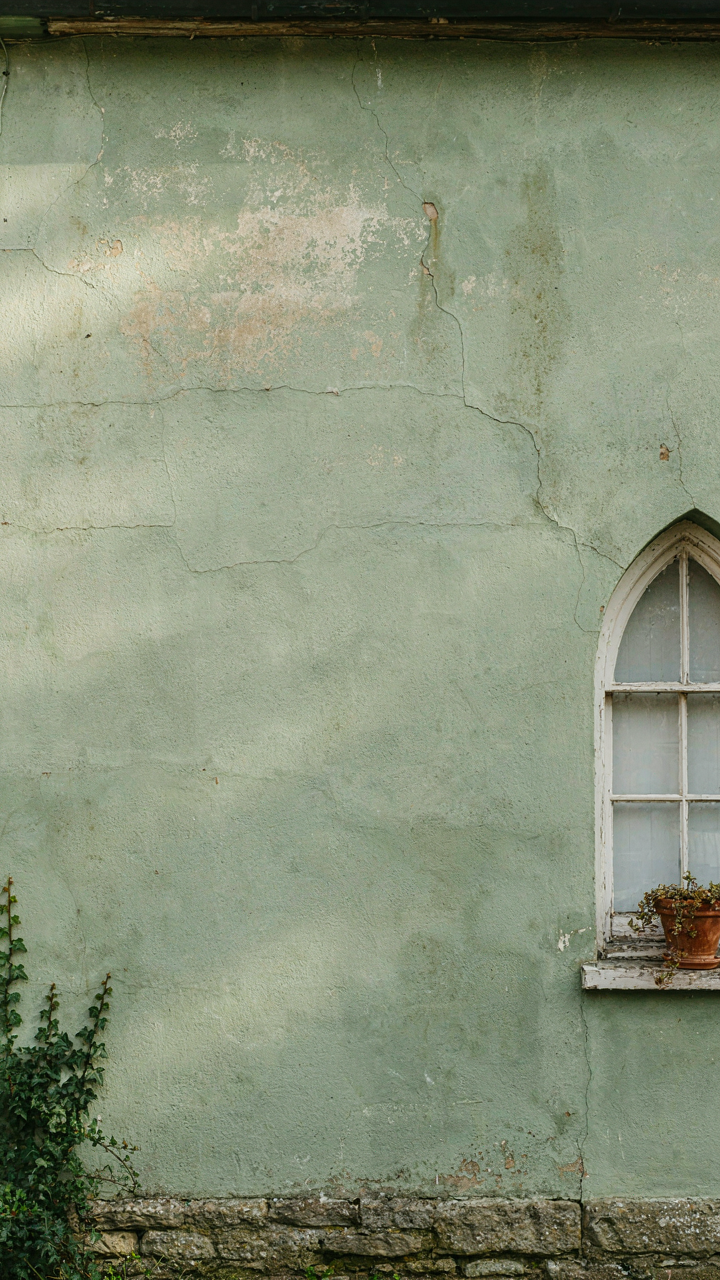A soft sage green cottage wall showing natural fading and texture.