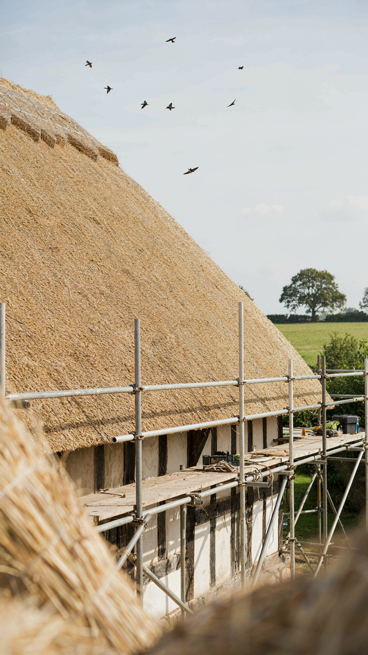 A newly installed, perfectly pitched thatched roof.