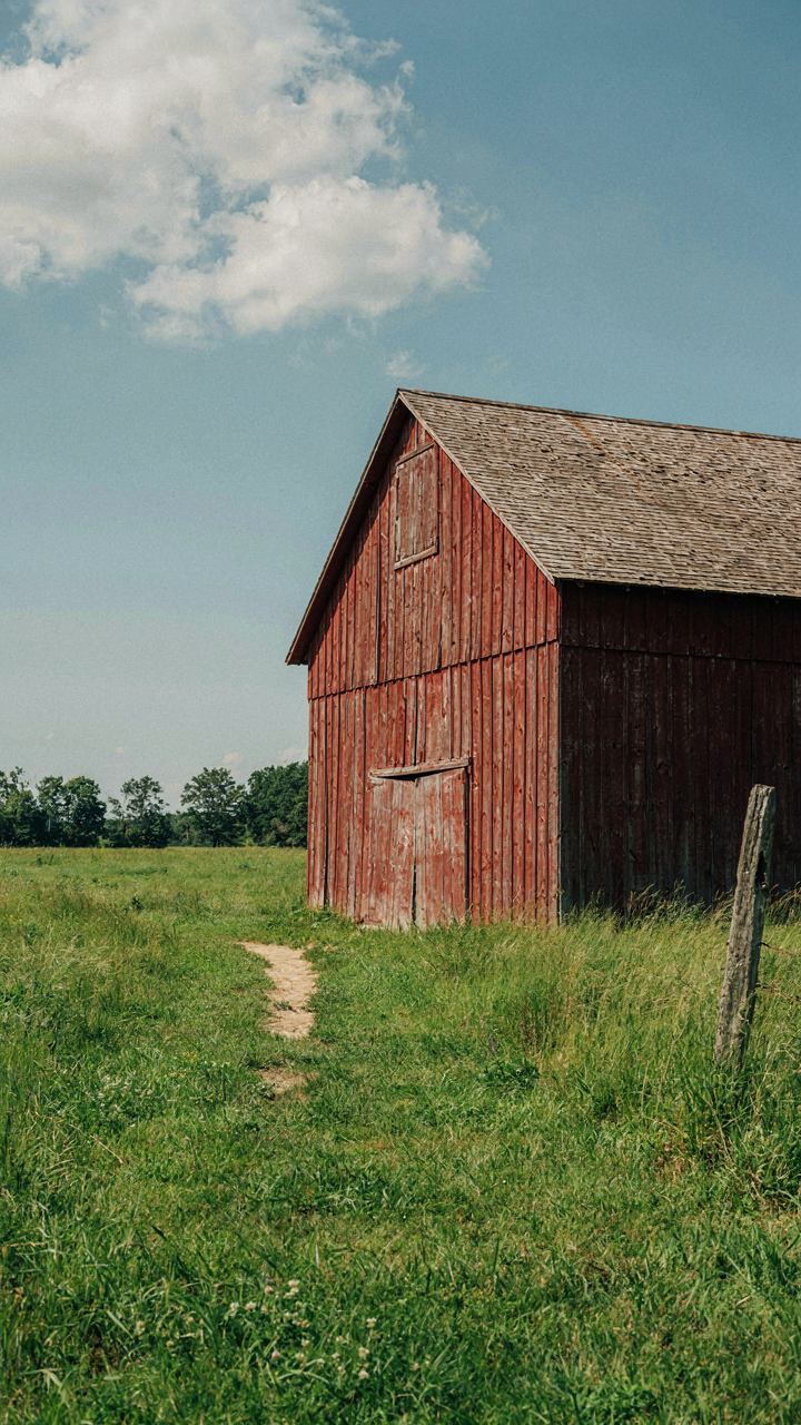 A classic red barn standing in a green field, showing timeless design.