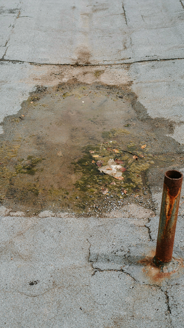 Standing water and debris collect on a flat garden shed roof.