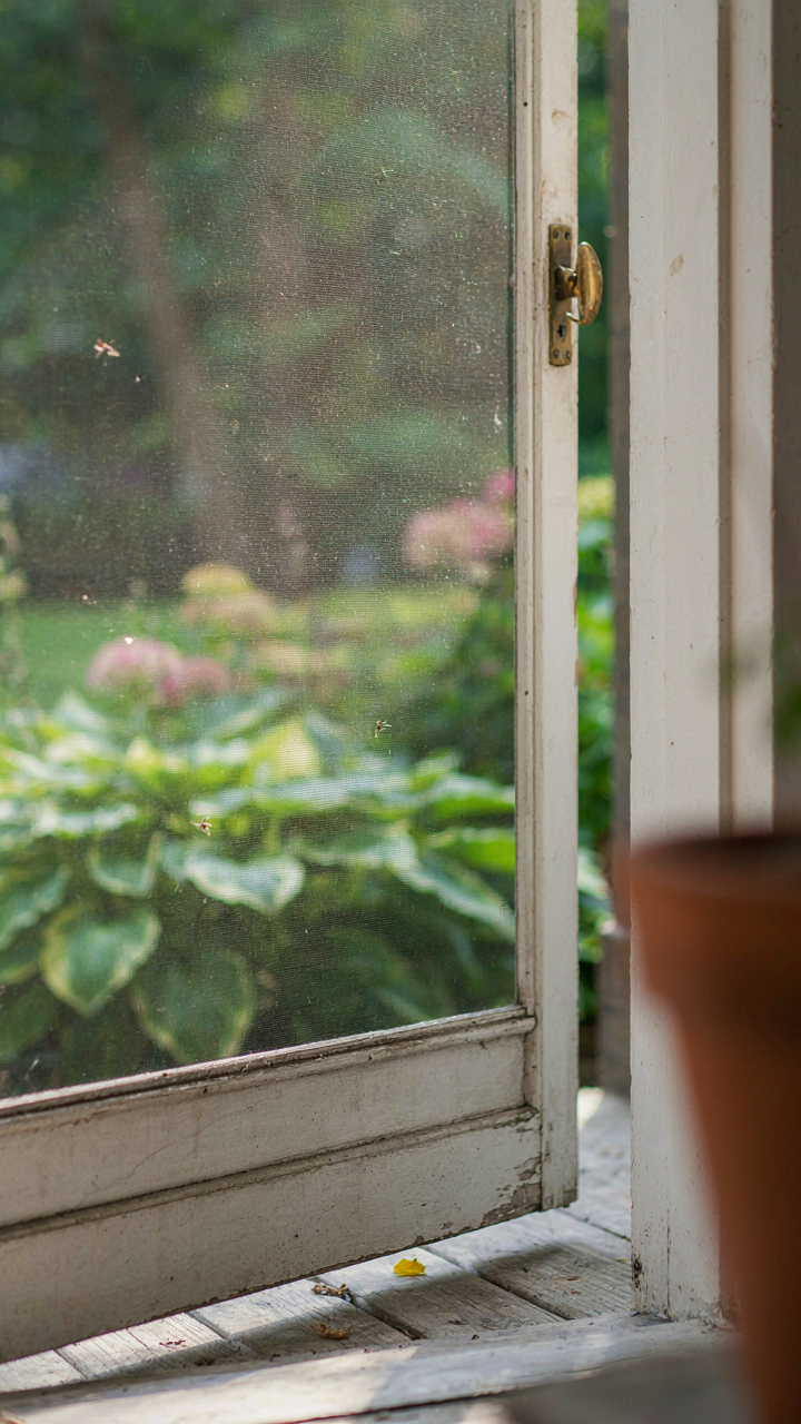 A screen door with fine mesh blocking the view of a lush green garden.