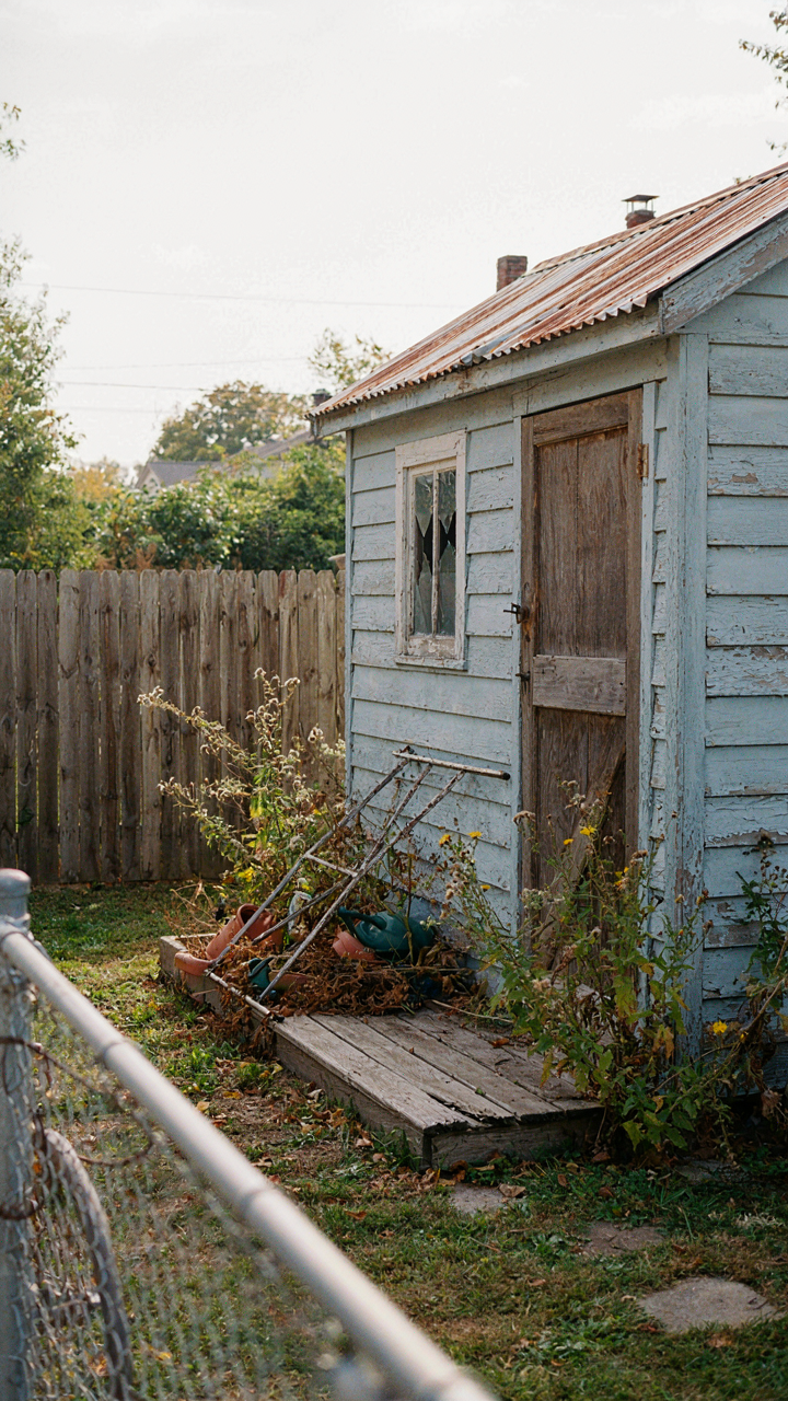 An empty, neglected garden shed with porch, surrounded by overgrown weeds.