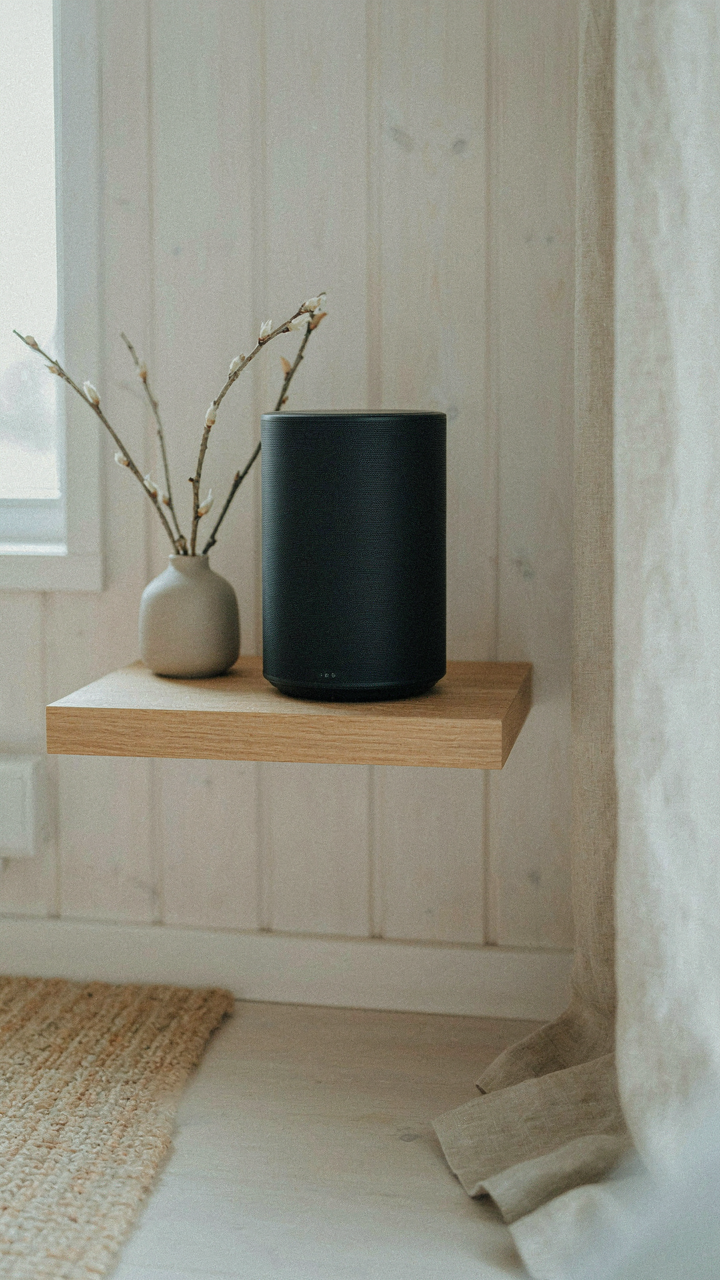A sleek black speaker sits on a simple light wood shelf.
