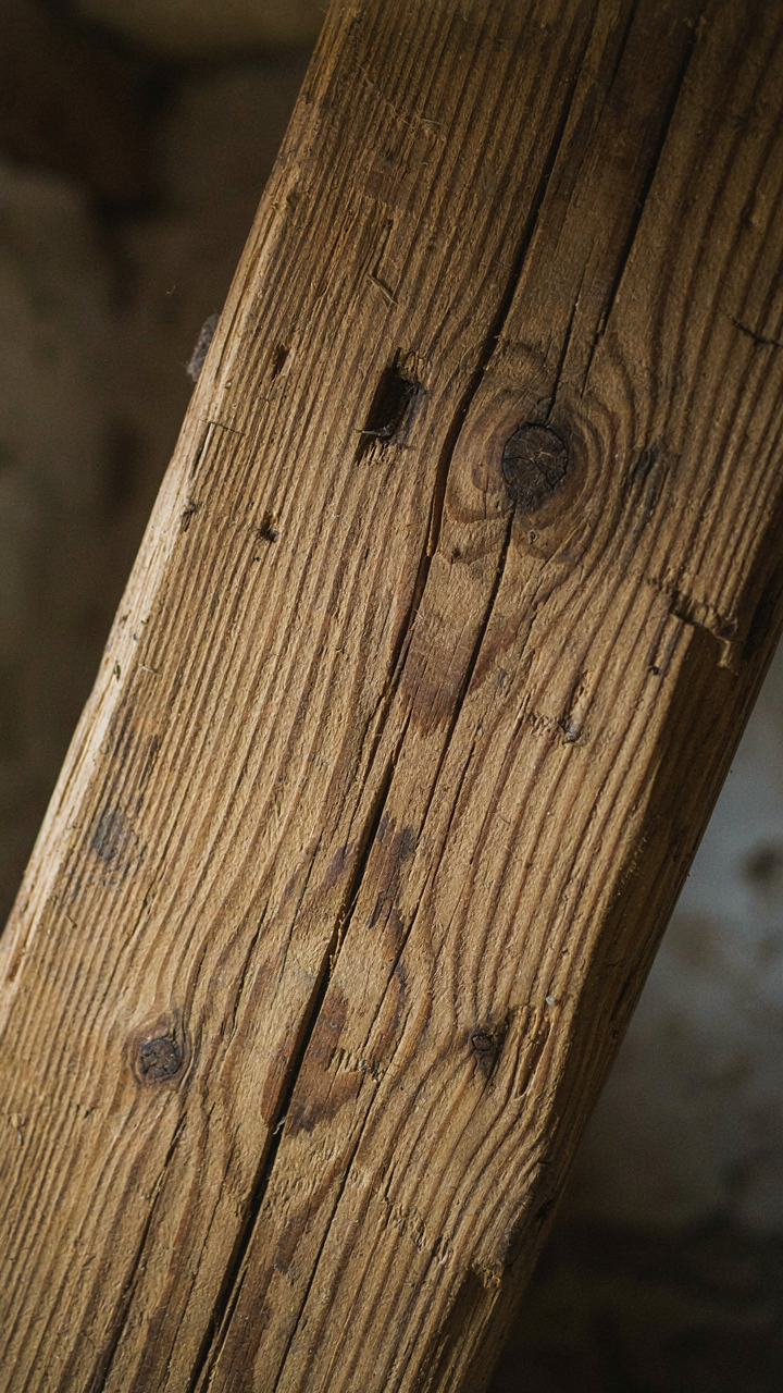 A close-up of an old wooden beam in a rustic cottage, showing its growth rings.