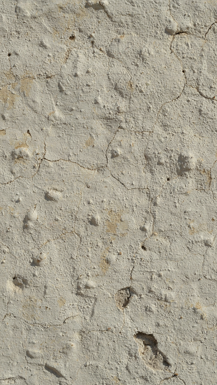 Rough lime plaster texture on a wall, showing subtle cracks and variations.