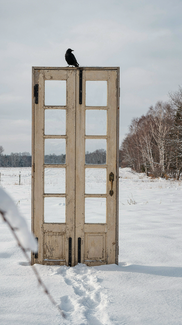 A six-panel wooden door with glass panes in a snowy winter landscape.