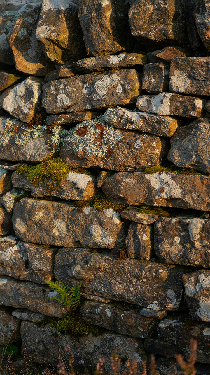 A close-up of a thick, weathered stone wall with moss on a scottish cottage.