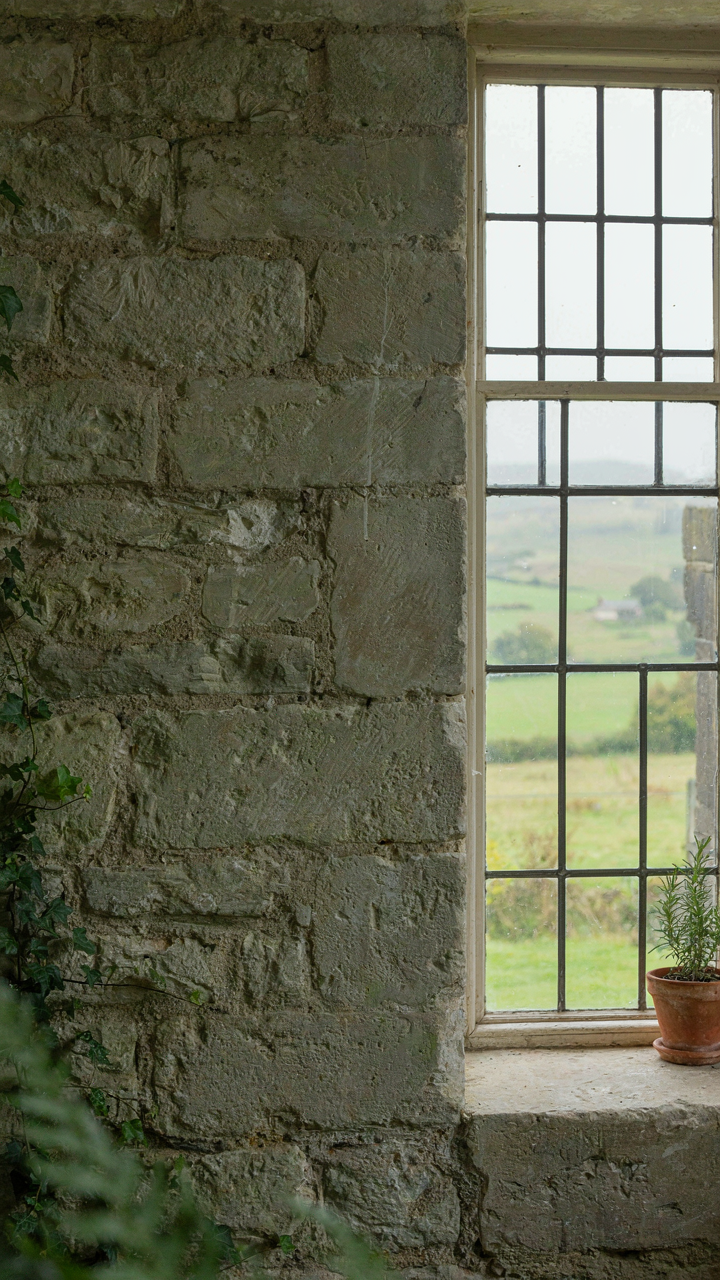 A sage green painted stone wall next to a window showing a mossy valley.