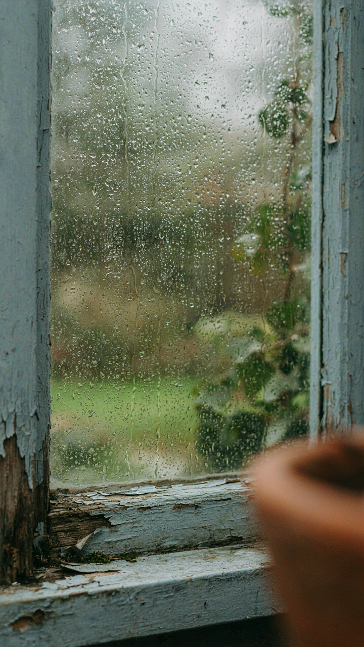 A cheap garden shed window shows condensation and rot on its thin wooden frame.