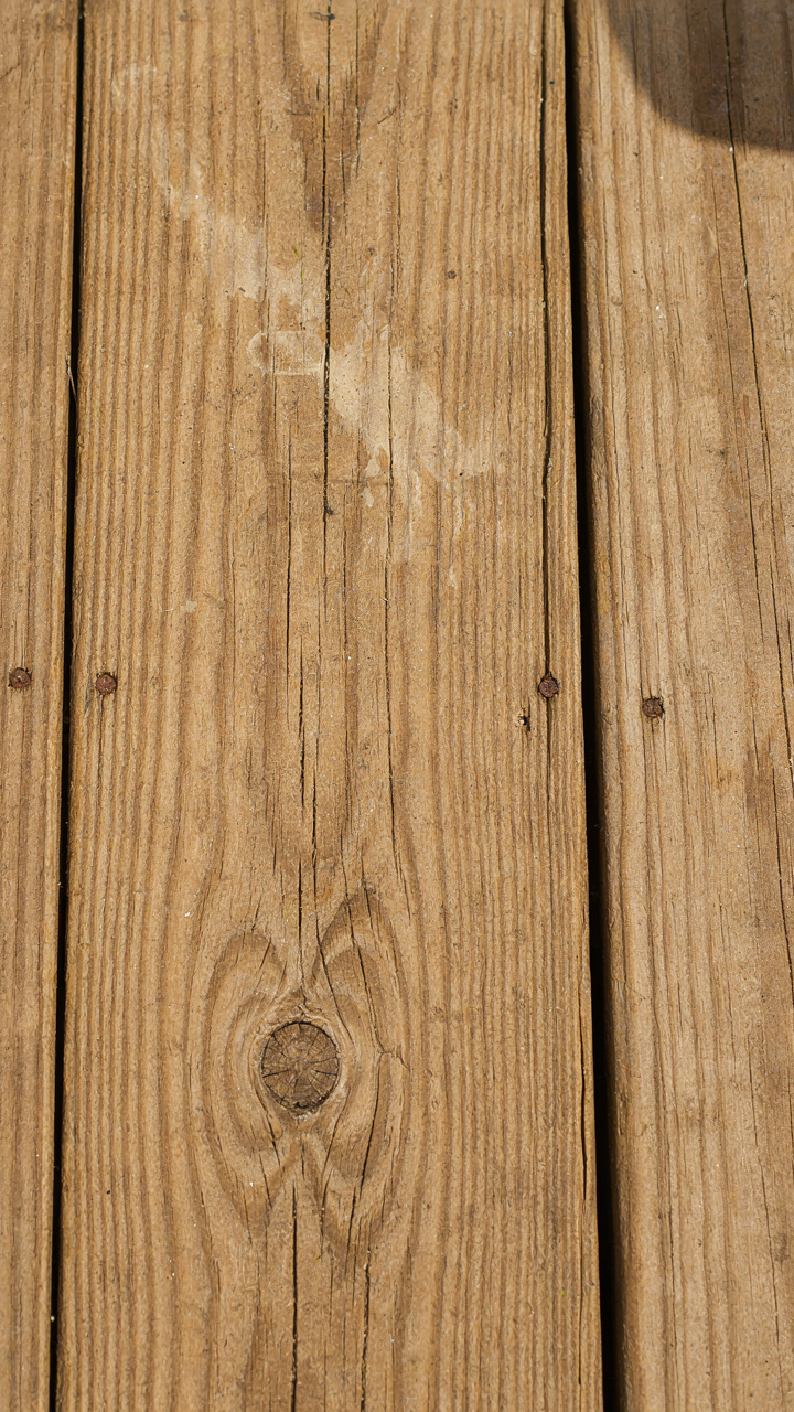 Close-up of a longleaf pine porch floorboard shows its natural resistance to decay.