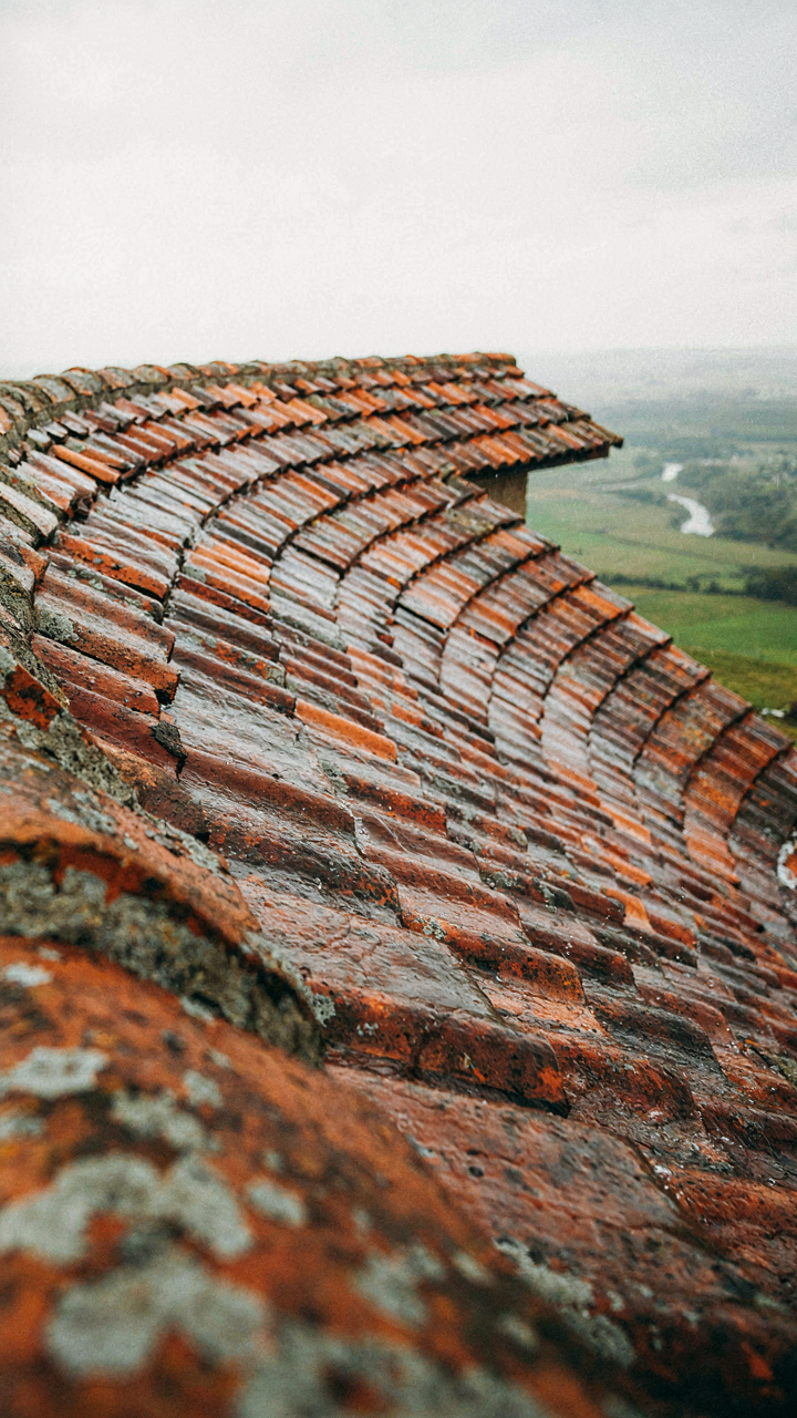 A close-up of aged terracotta roof tiles on a curved mansard roof.