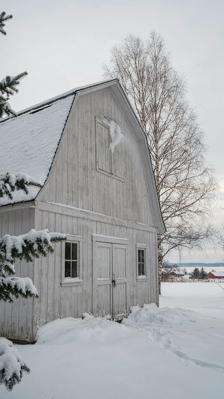 A tall gambrel garden shed roof with snow sliding off one side.