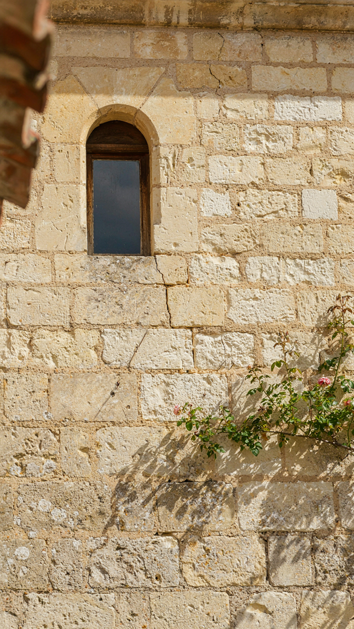 A close-up of a thick, weathered limestone wall on an old French cottage.