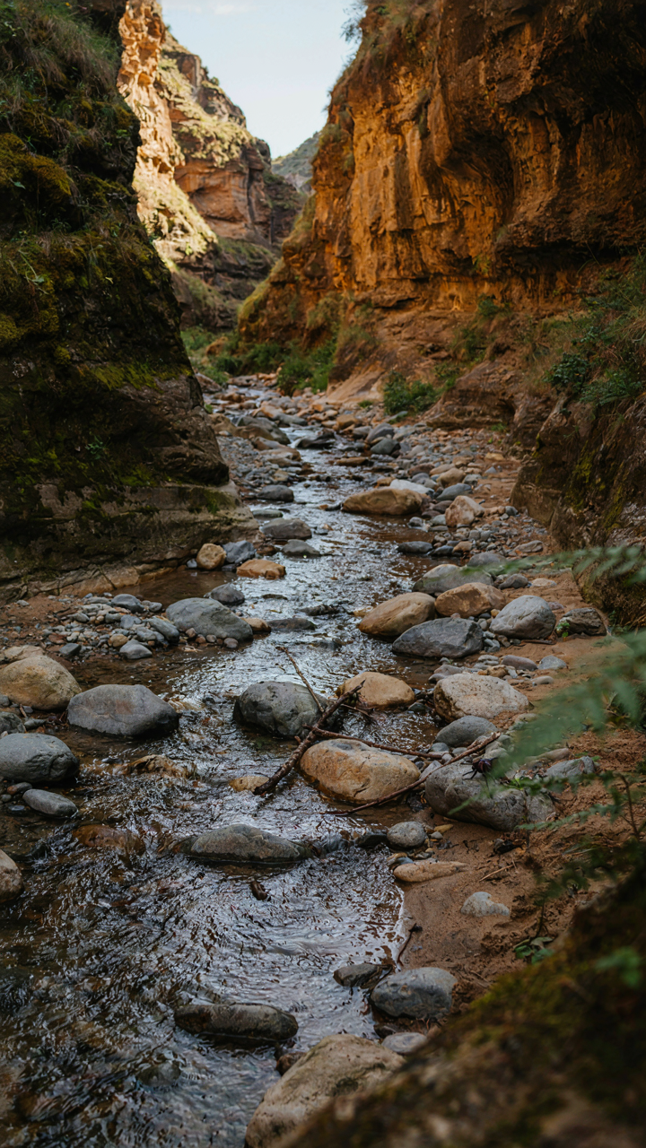 Water flows over smooth river rocks in a canyon, showing nature's design logic.