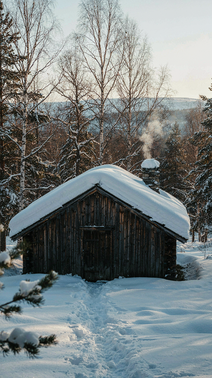 Deep snow on a dark wooden cabin's overhanging roof.