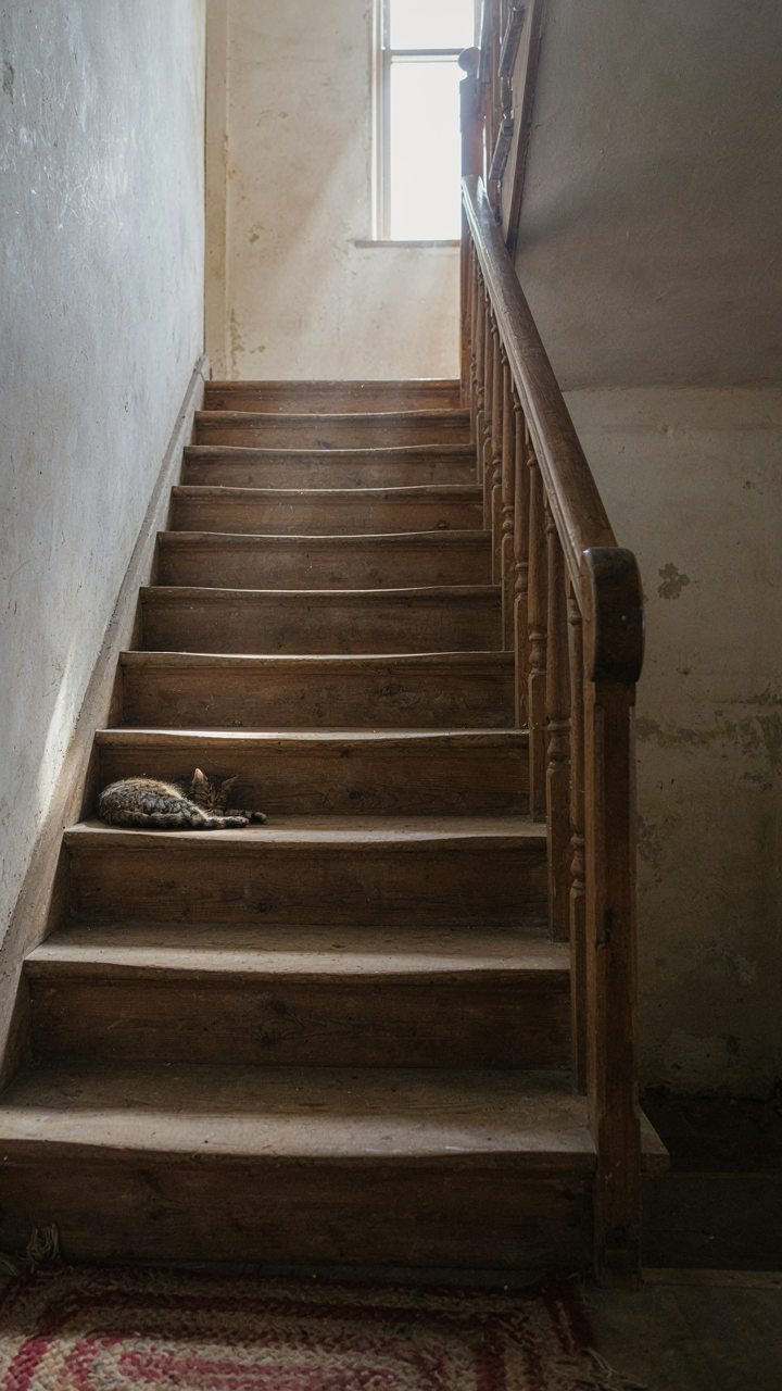 An old farmhouse staircase with deeply worn and patinated wooden treads.