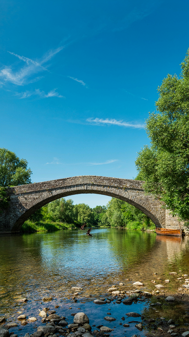A sturdy stone bridge arches over a calm river with green trees.