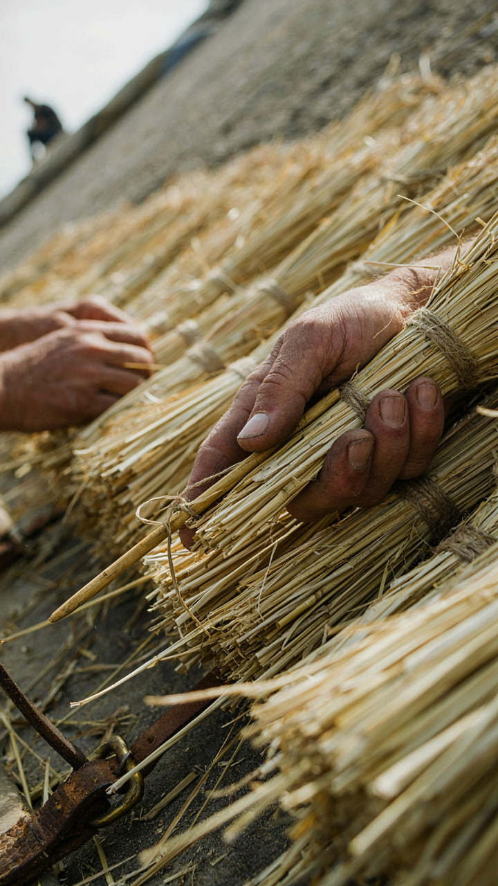 A skilled thatcher's hands working on a thatched roof.