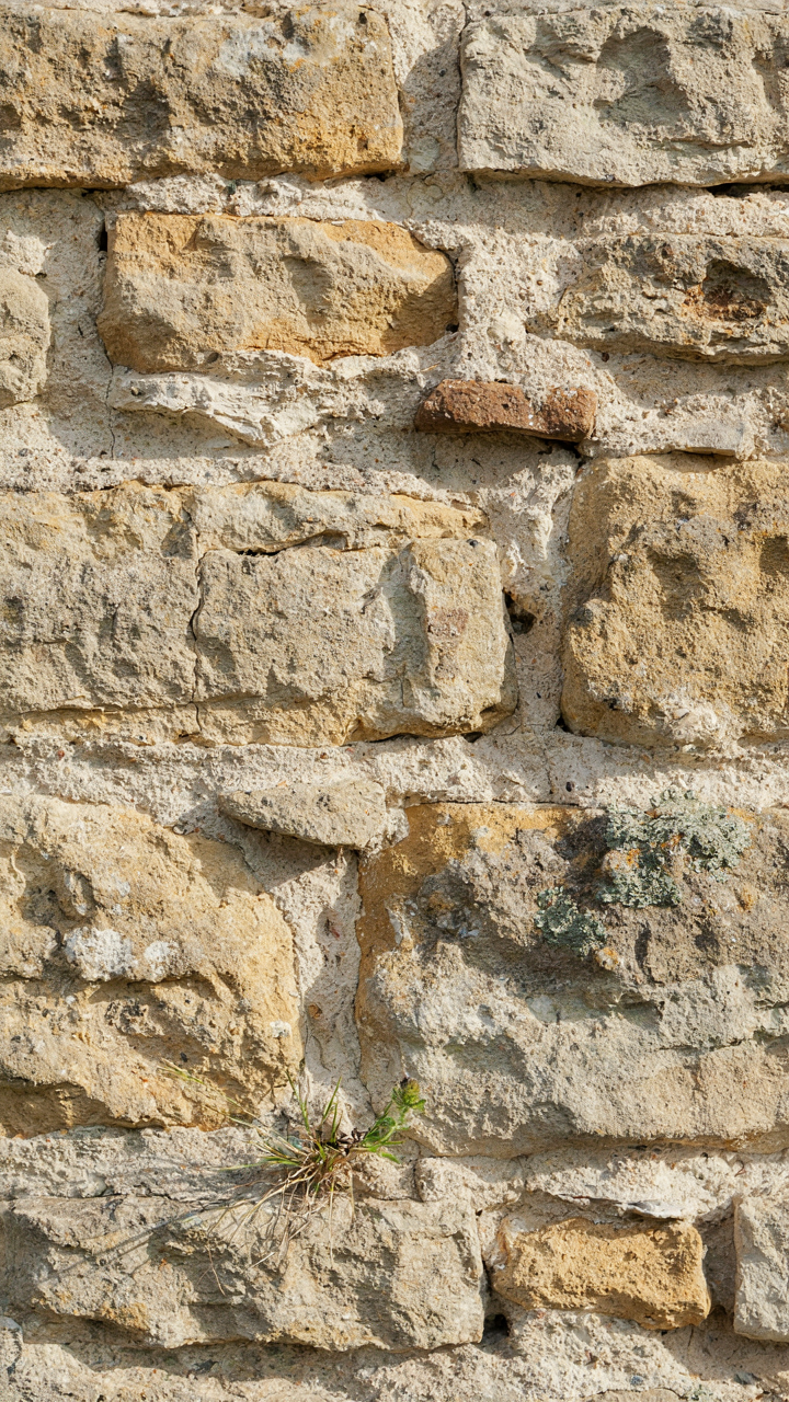 A section of an old stone wall with visible, well-preserved lime mortar joints.