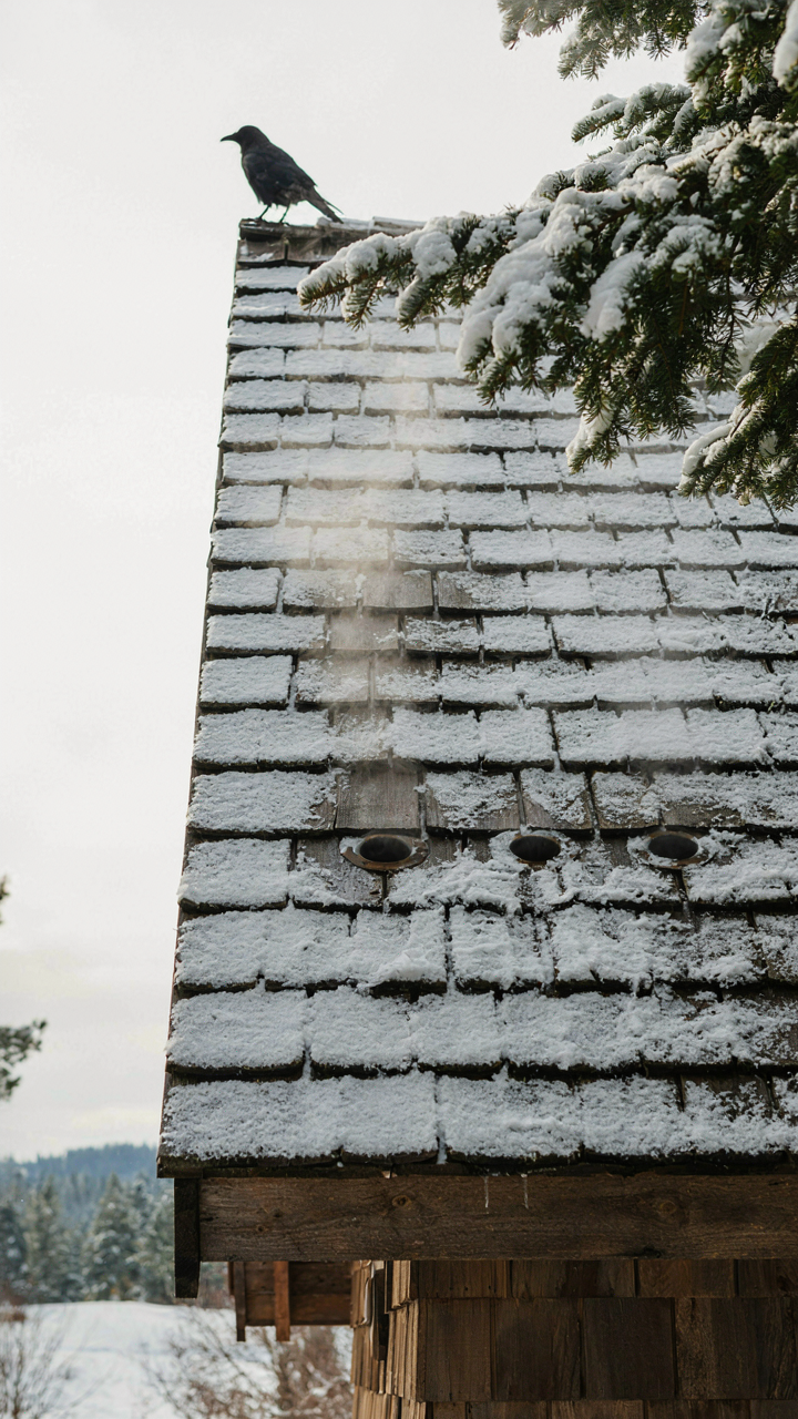 Heat escapes from attic vents on a snowy cabin roof.