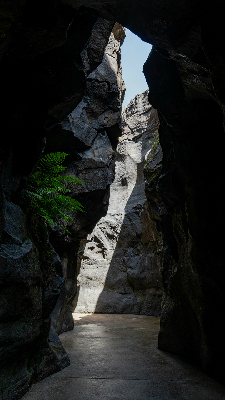 Sunlight reflecting off a white rock inside a dark mountain cave.
