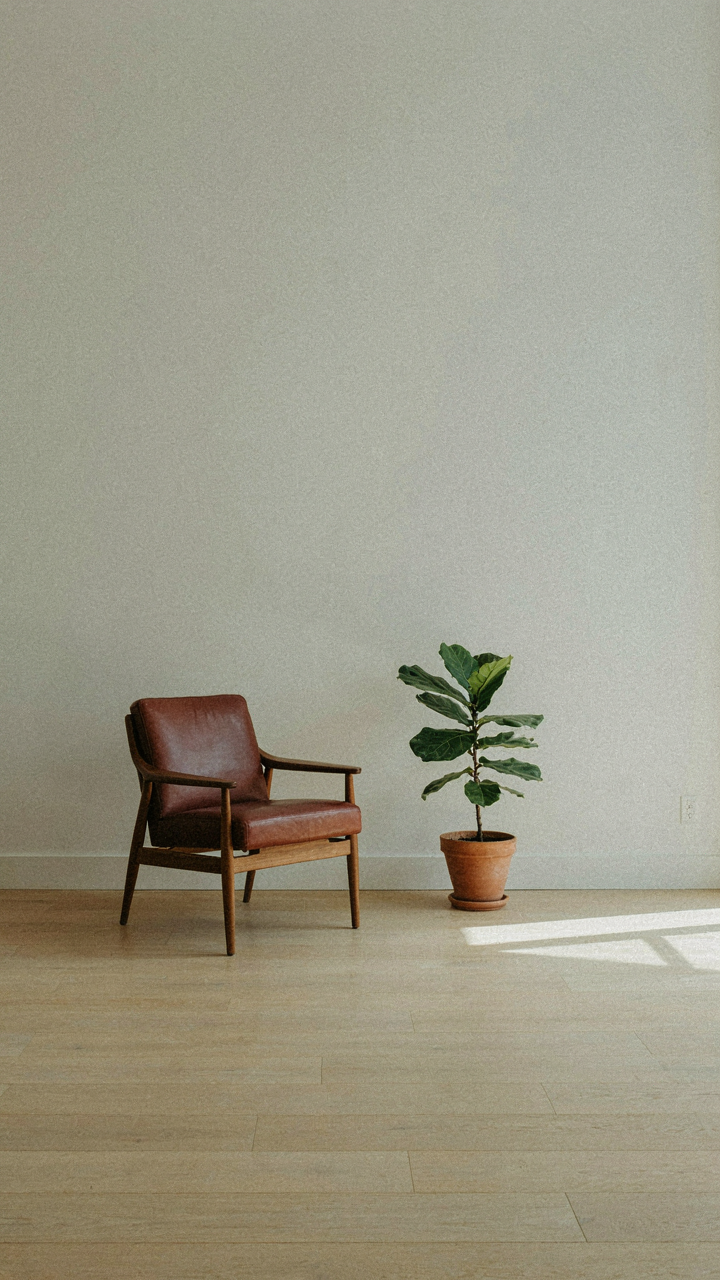 A stark, minimalist room with just one chair and a small green plant.