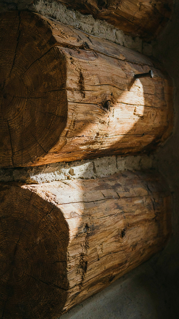 A close-up of a thick log wall shows tight joints and chinking in sunlight.