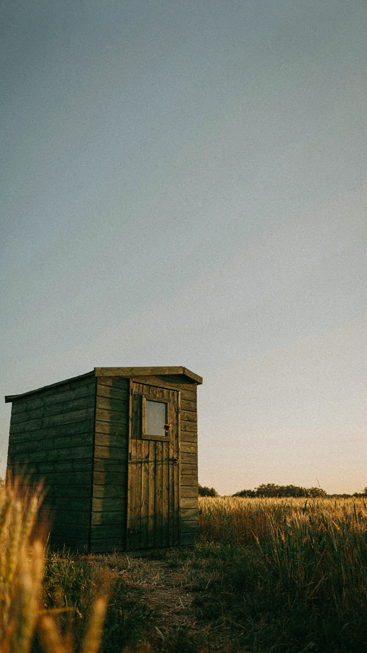 A dark green garden shed under changing light, showing a mismatch with its surroundings.