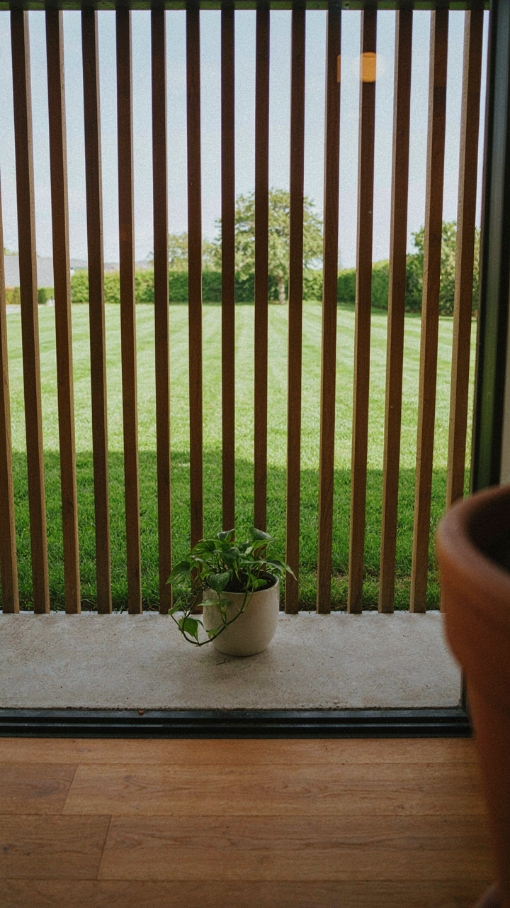 A low step and screen wall define the transition from indoors to a green backyard.