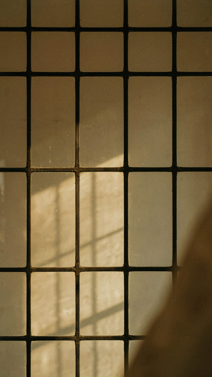 Close-up of prairie style window muntins casting shadows from direct sunlight.