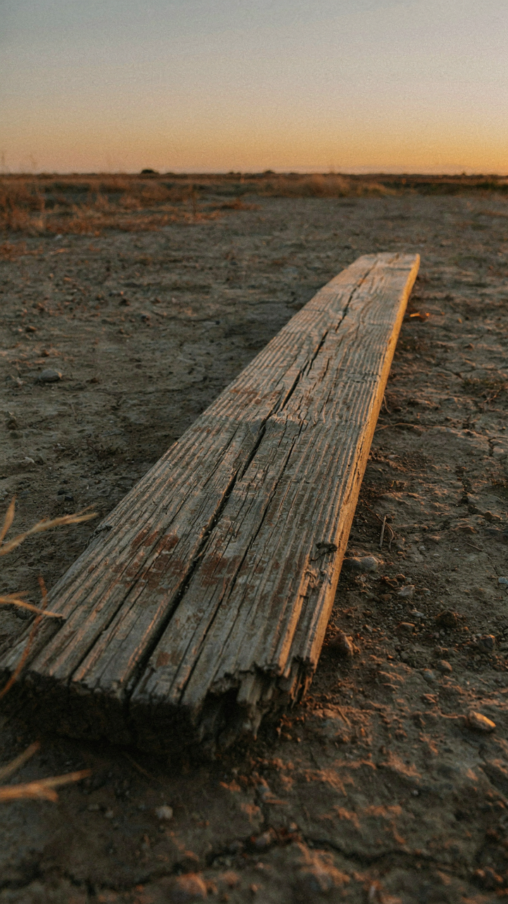 A weathered wooden board lies on the ground, showing cracks and gray patina.