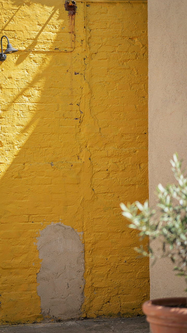 A single exterior wall of a house freshly painted in a bold, vibrant color.