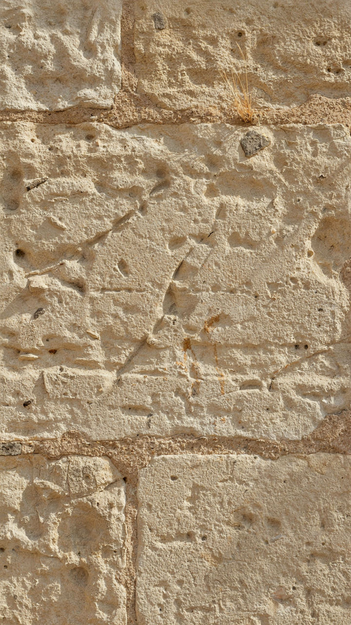 A close-up of an old, weathered limestone wall, showing natural erosion.