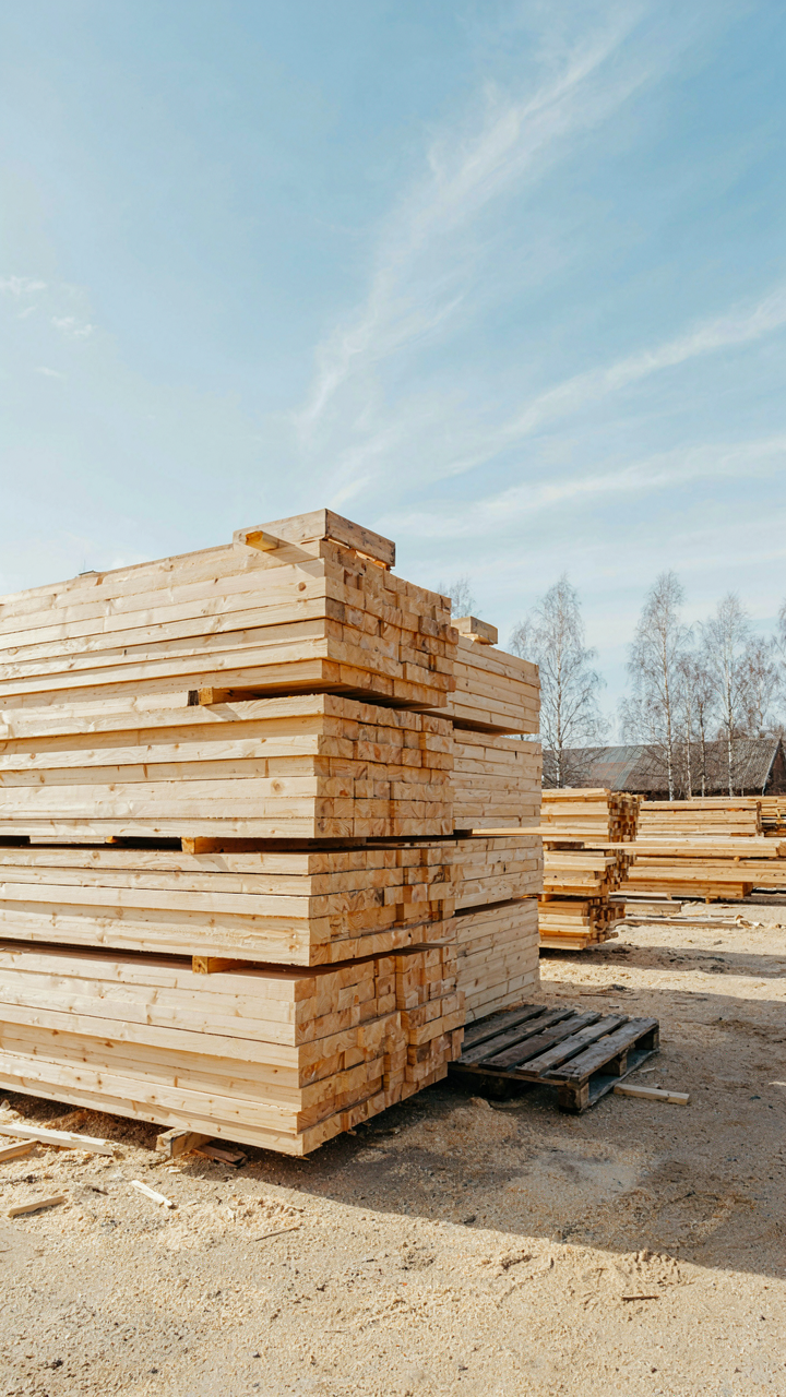 A stack of unfinished pale oak lumber planks in a timber yard.